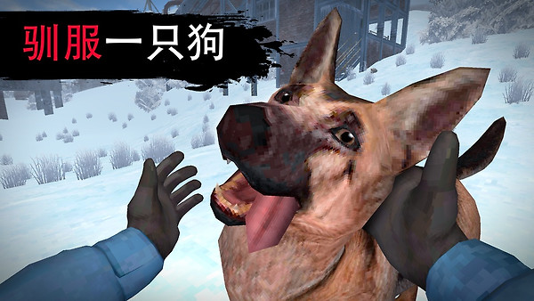 冬季生存
