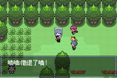 《口袋妖怪漆黑的魅影》5.0图文攻略