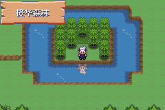 《口袋妖怪漆黑的魅影》5.0图文攻略