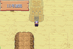 《口袋妖怪漆黑的魅影》5.0图文攻略