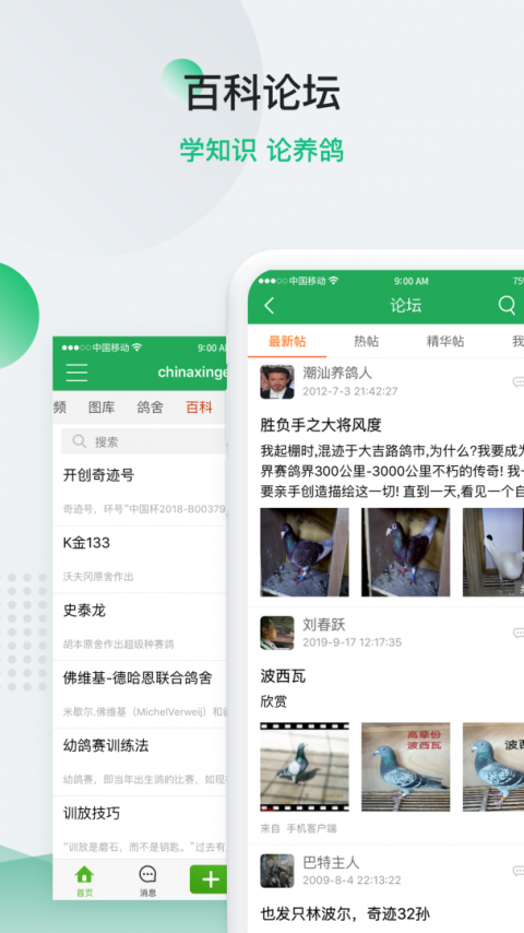 中国信鸽信息网app