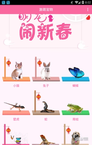 咪萌桌面宠物2024版2