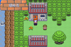 《口袋妖怪漆黑的魅影》5.0图文攻略