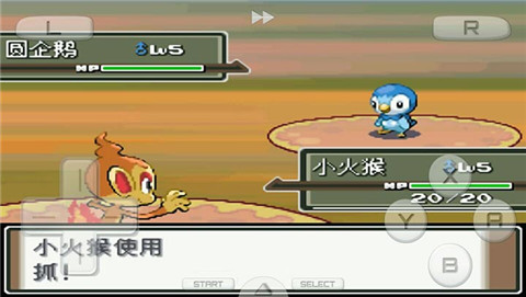 口袋妖怪白金493汉化版