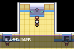 《口袋妖怪漆黑的魅影》5.0图文攻略