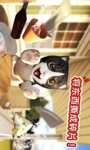 迷你小猫城市生存