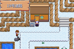 《口袋妖怪漆黑的魅影》5.0图文攻略