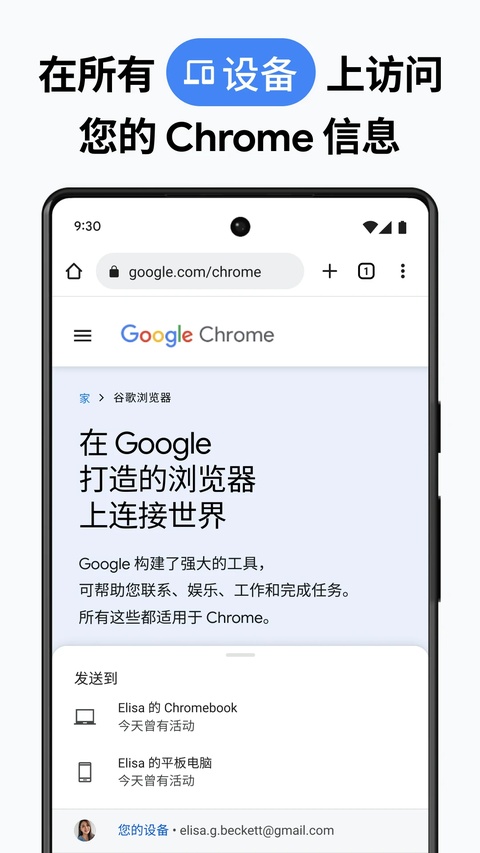 Google Chorm浏览器