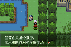 《口袋妖怪漆黑的魅影》5.0图文攻略