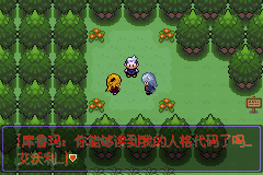 《口袋妖怪漆黑的魅影》5.0图文攻略