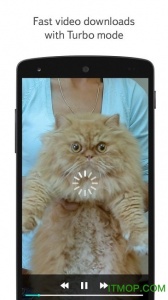 Yandex俄罗斯搜索引擎