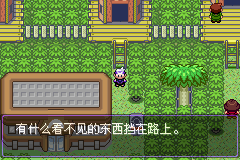 《口袋妖怪漆黑的魅影》5.0图文攻略