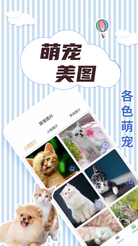 人猫翻译交流器