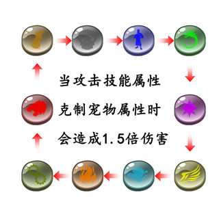 御宠达人