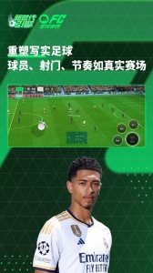 FIFA足球世界国际服最新版