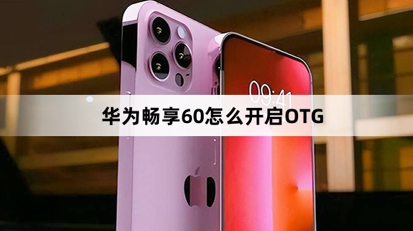 华为畅享60开启OTG方法