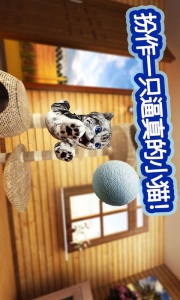 迷你小猫城市生存