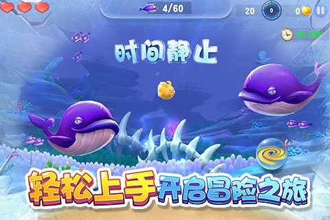 大鱼来了