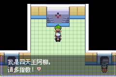 《口袋妖怪漆黑的魅影》5.0图文攻略