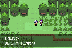 《口袋妖怪漆黑的魅影》5.0图文攻略