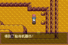 《口袋妖怪漆黑的魅影》5.0图文攻略