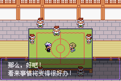 《口袋妖怪漆黑的魅影》5.0图文攻略