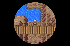 《口袋妖怪漆黑的魅影》5.0图文攻略