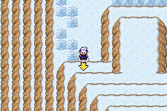 《口袋妖怪漆黑的魅影》5.0图文攻略