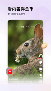 头条搜索极速版app