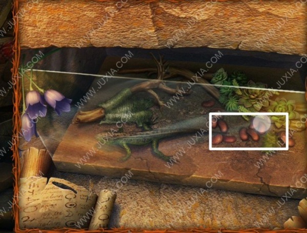 《密室逃脱10侦探风云》全章节通关攻略