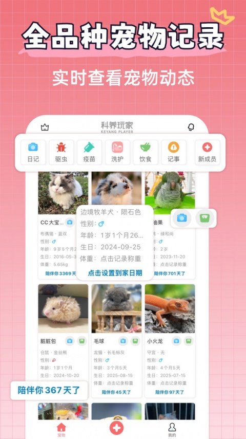 宠物王国