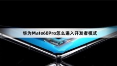 华为Mate60Pro进入开发者模式方法介绍