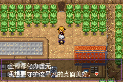 《口袋妖怪漆黑的魅影》5.0图文攻略