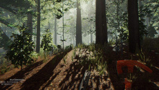 《森林》作弊码大全最新