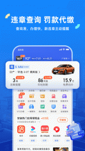 车行易查违章app