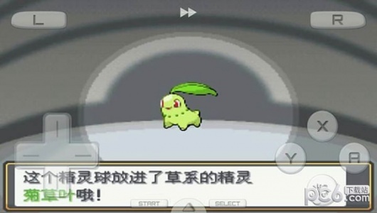 口袋妖怪心金989版