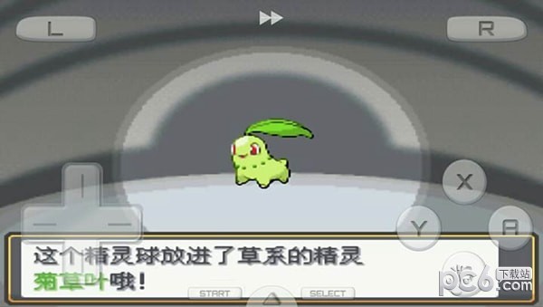 口袋妖怪心金989版