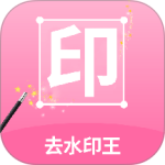去水印王