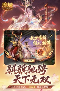 魔域口袋版官方版