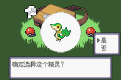 《口袋妖怪漆黑的魅影》5.0图文攻略