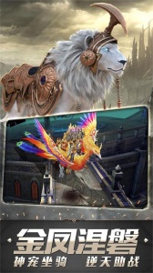 狂暴之翼tt玩家版