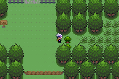 《口袋妖怪漆黑的魅影》5.0图文攻略