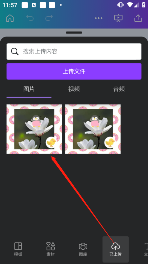 Canva可画手机版