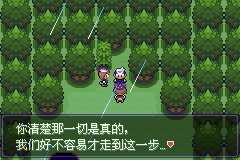 《口袋妖怪漆黑的魅影》5.0图文攻略