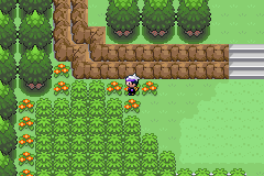 《口袋妖怪漆黑的魅影》5.0图文攻略