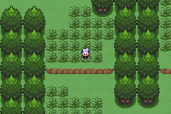 《口袋妖怪漆黑的魅影》5.0图文攻略