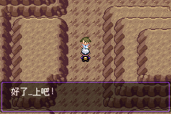 《口袋妖怪漆黑的魅影》5.0图文攻略