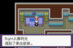 《口袋妖怪漆黑的魅影》5.0图文攻略