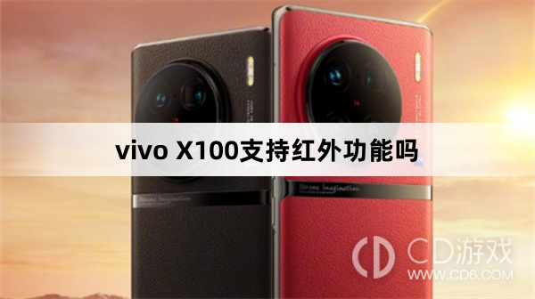 vivoX100有红外遥控功能吗