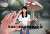 寻找陈雨彤网页推理游戏入口 寻找陈雨彤在线网页游戏直接玩链接
